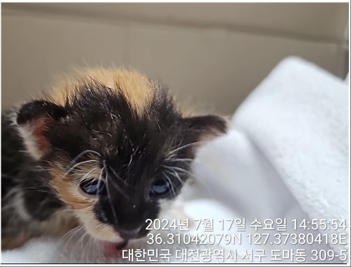 종료(자연사) 한국…