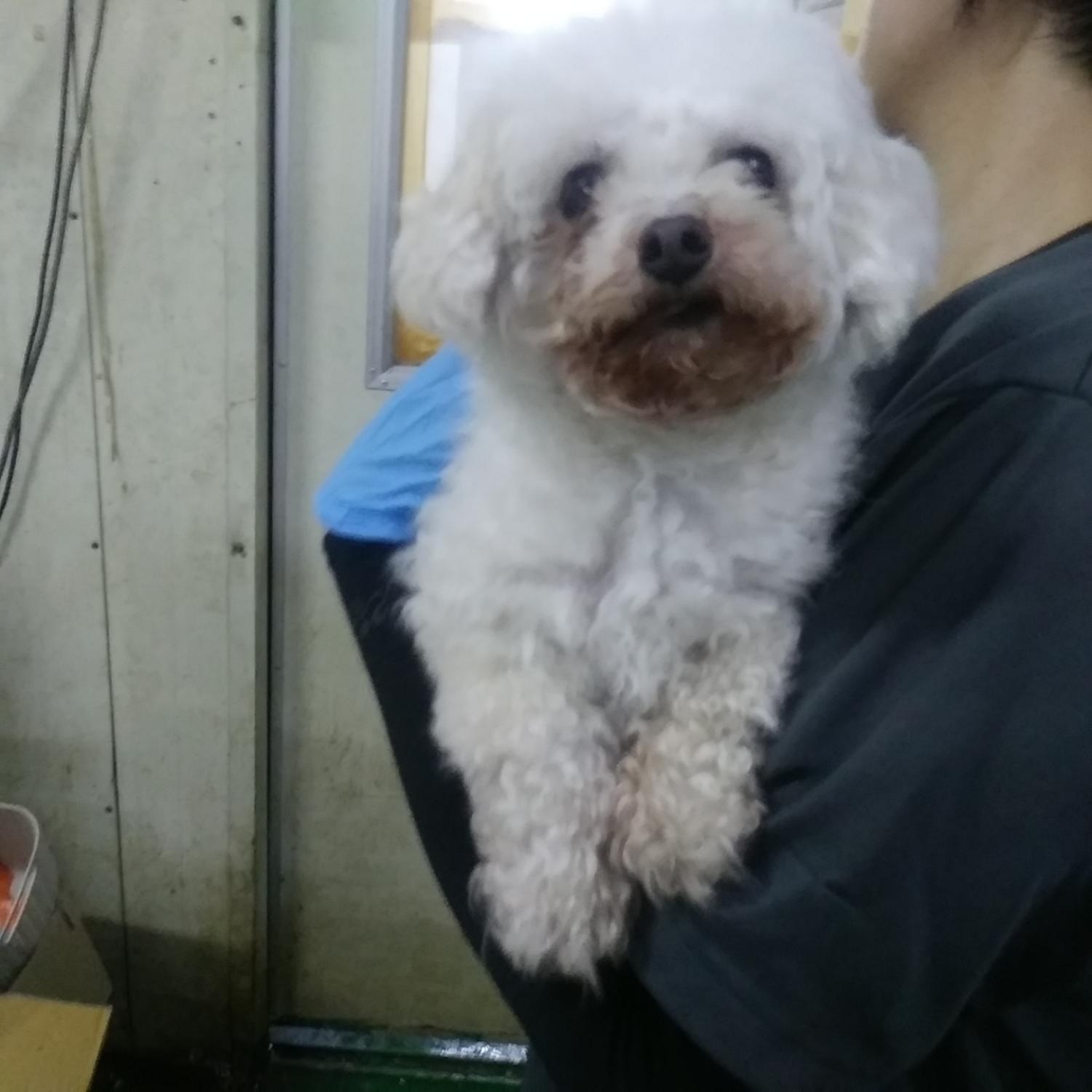 인천광역시수의사회_428351202400530
