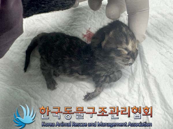 종료(자연사) 한국…
