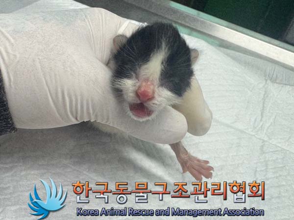 한국동물구조관리협회_411316202400388