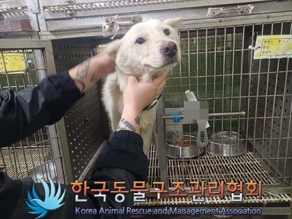 한국동물구조관리협회_441560202400763