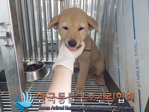 한국동물구조관리협회_441560202400761