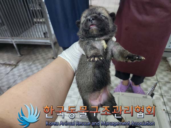 종료(자연사) 믹스…
