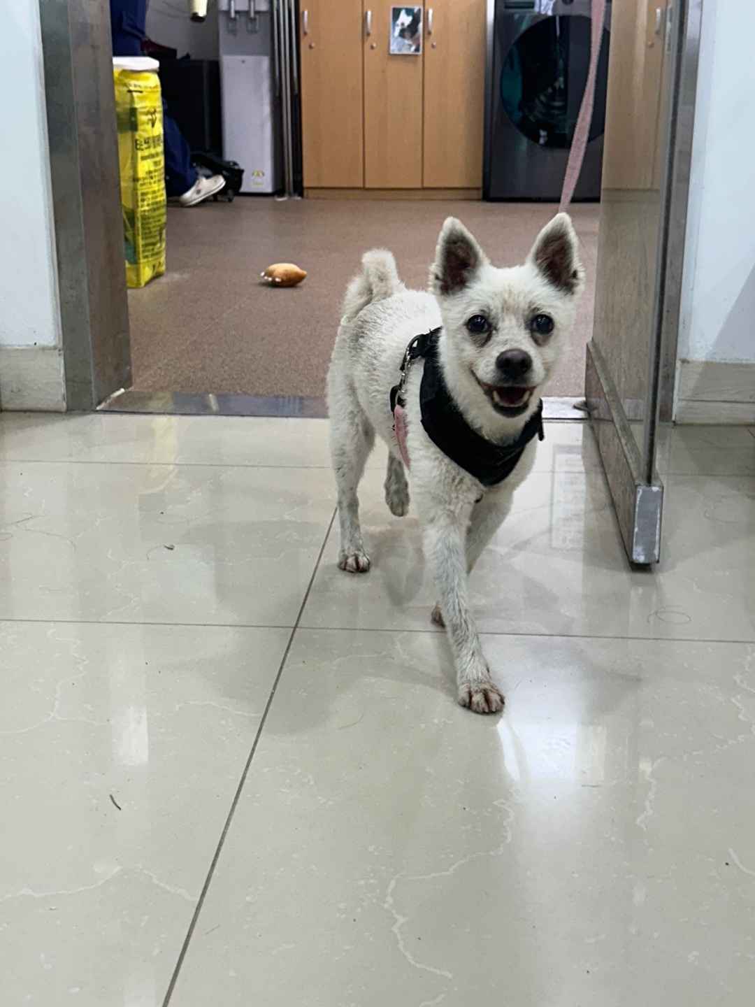 반려동물보호센터_443571202401855