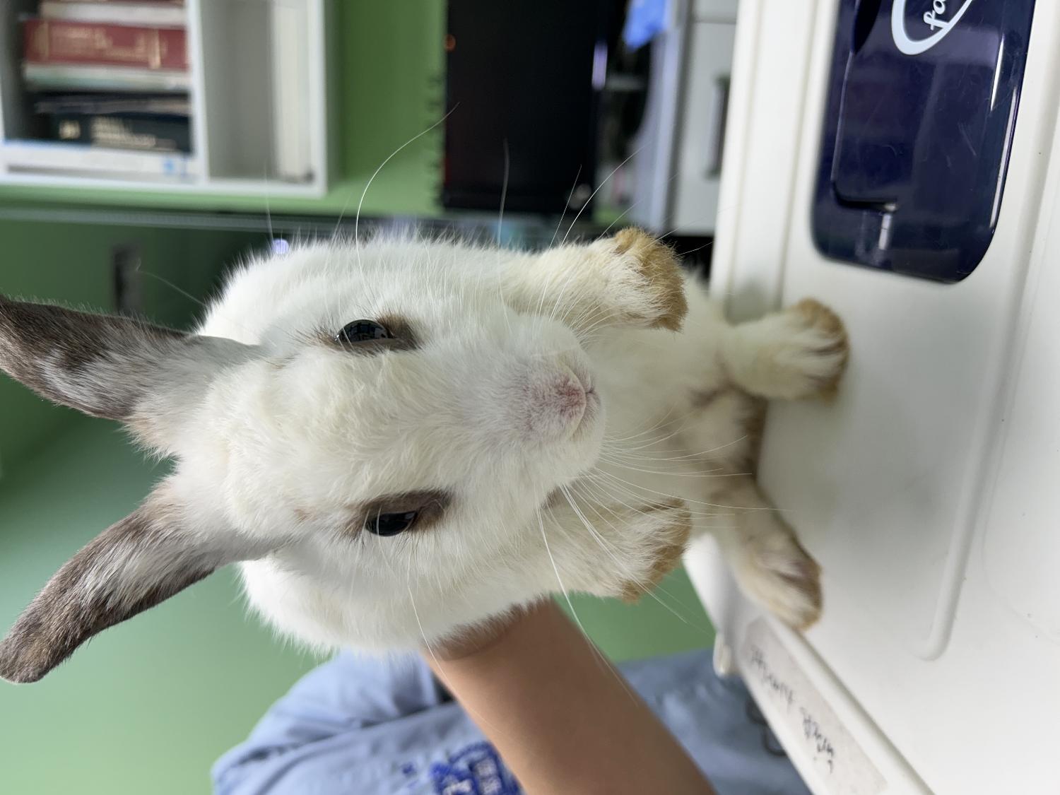 동대문구청_411305202400444