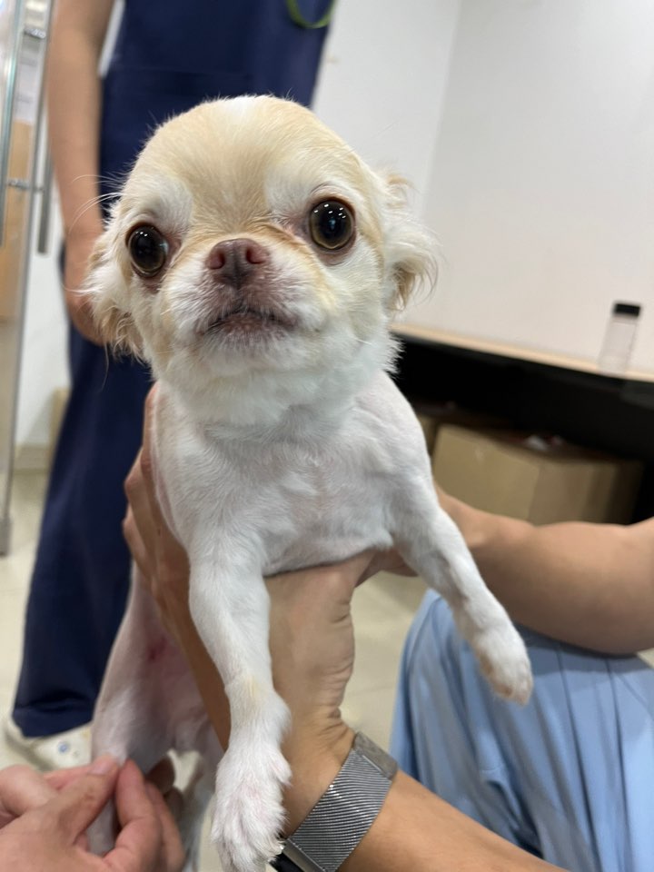 반려동물보호센터_443571202401857