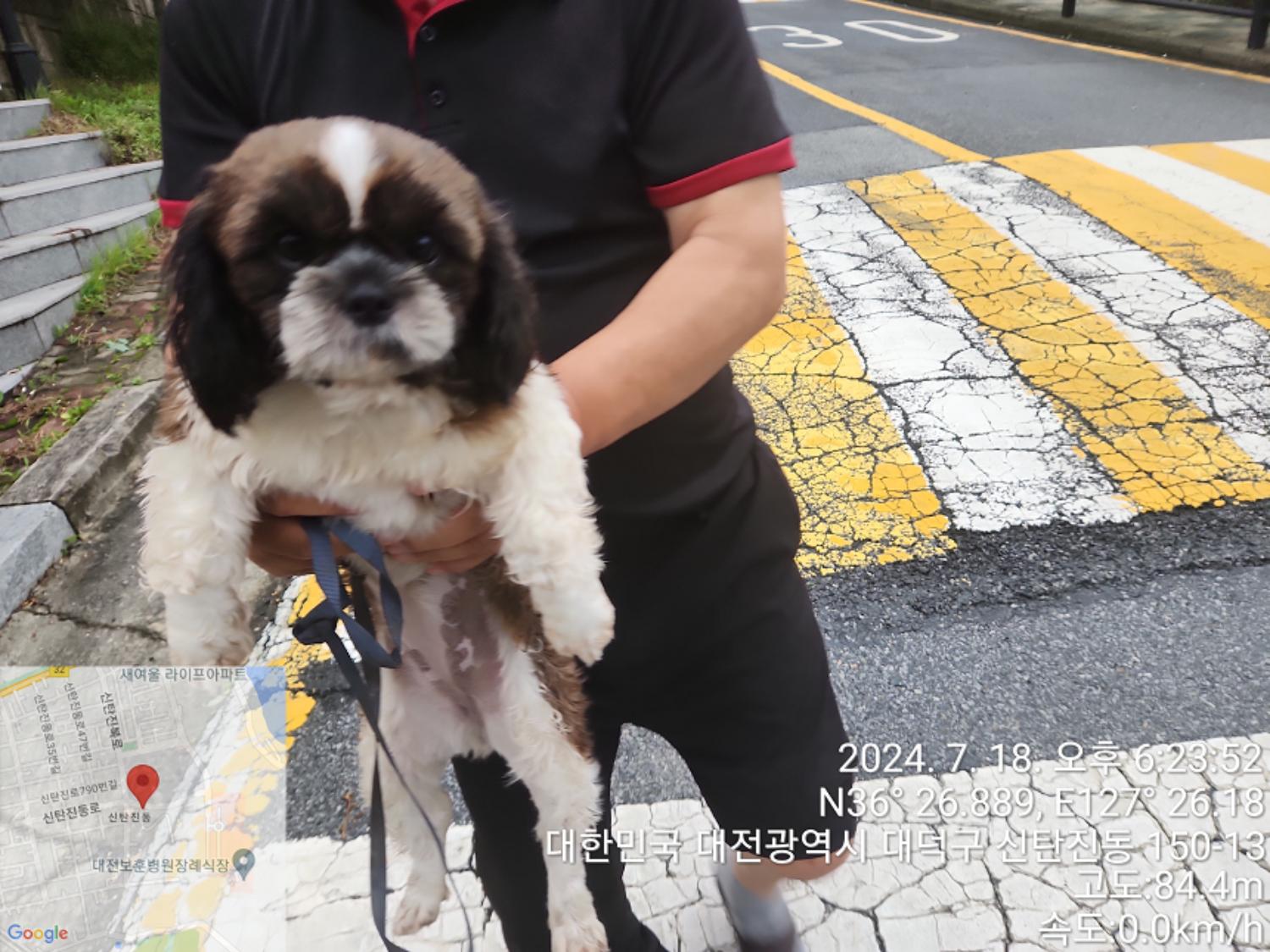 종료(반환) 시츄의…