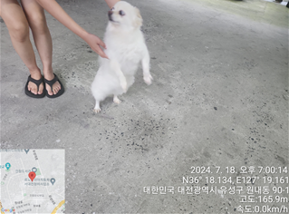 대전동물보호센터_430367202400504