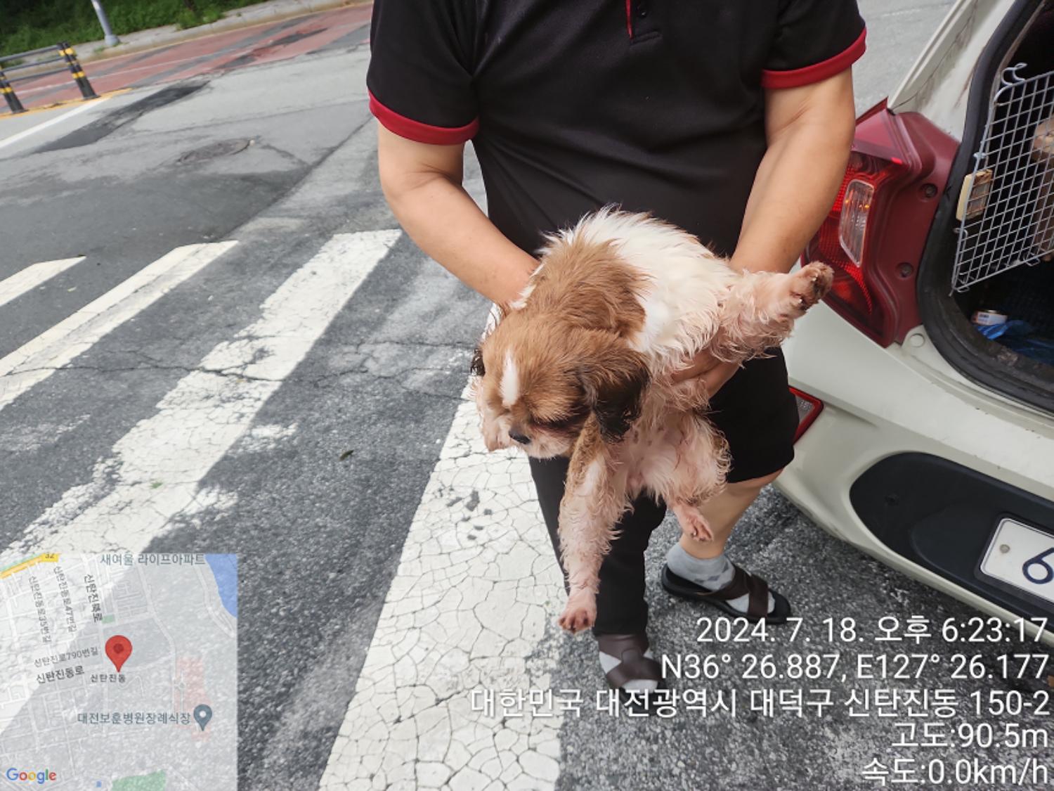 대전동물보호센터_430368202400322