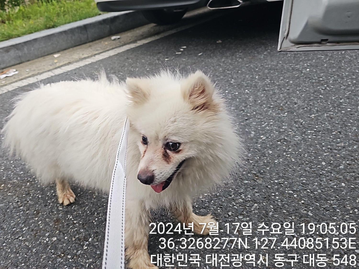 대전동물보호센터_430364202400629