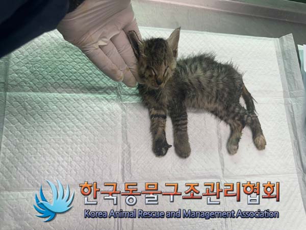 종료(자연사) 한국…