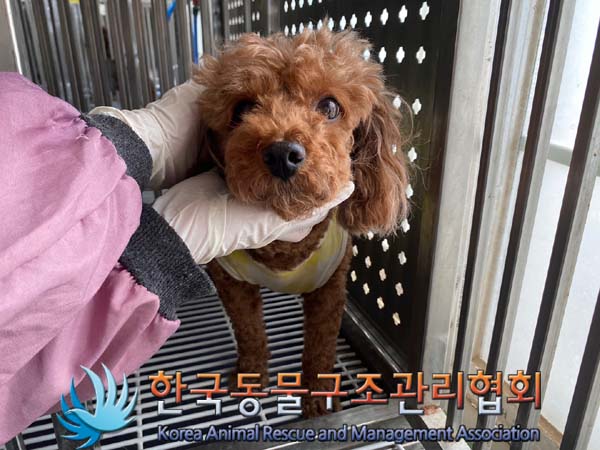 한국동물구조관리협회_441392202400218