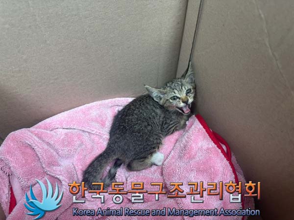 종료(자연사) 한국…