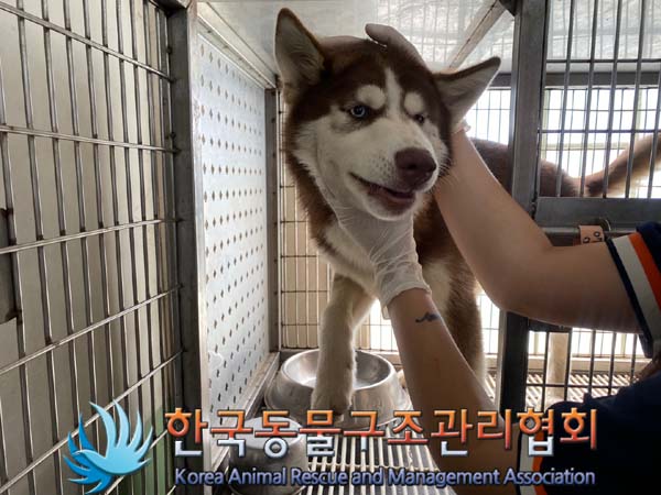한국동물구조관리협회_411315202400384