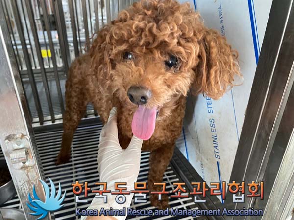한국동물구조관리협회_441392202400217