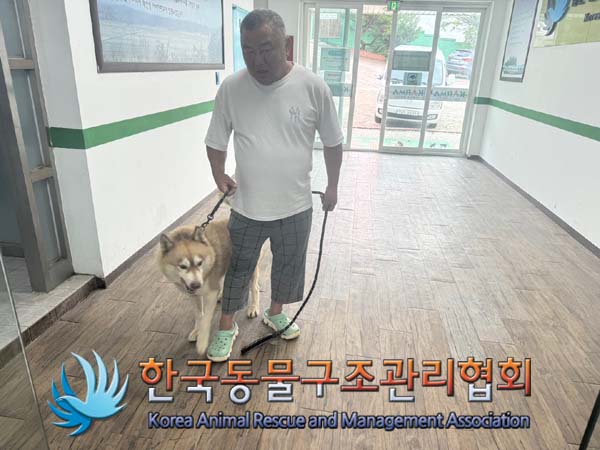 한국동물구조관리협회_441560202400765