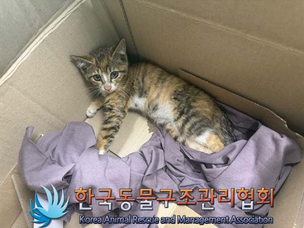 종료(자연사) 한국…