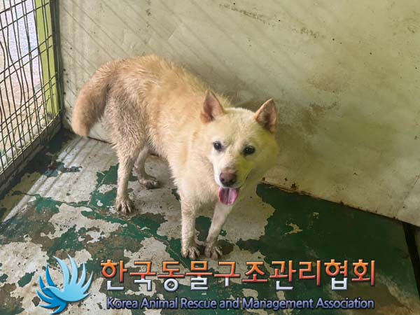 한국동물구조관리협회_441414202400573