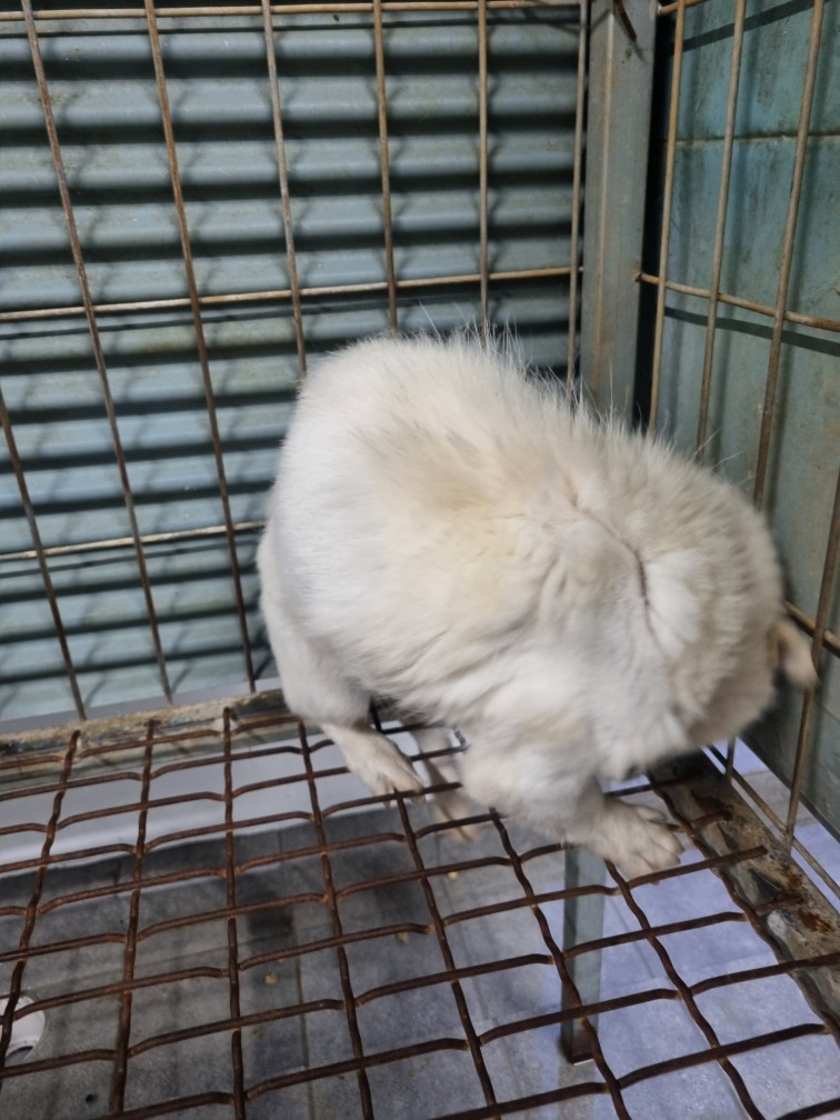 군위종합동물병원_427514202400394