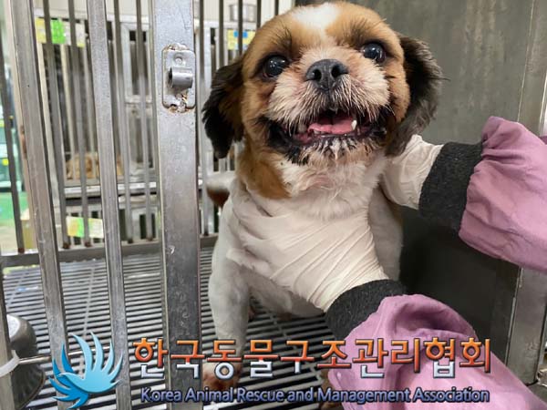 한국동물구조관리협회_411316202400389