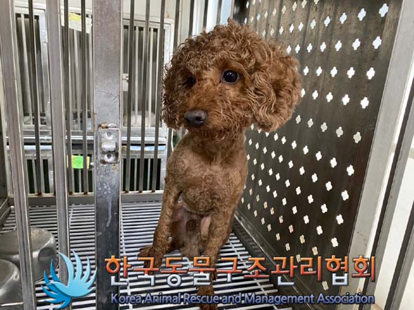 한국동물구조관리협회_411315202400385