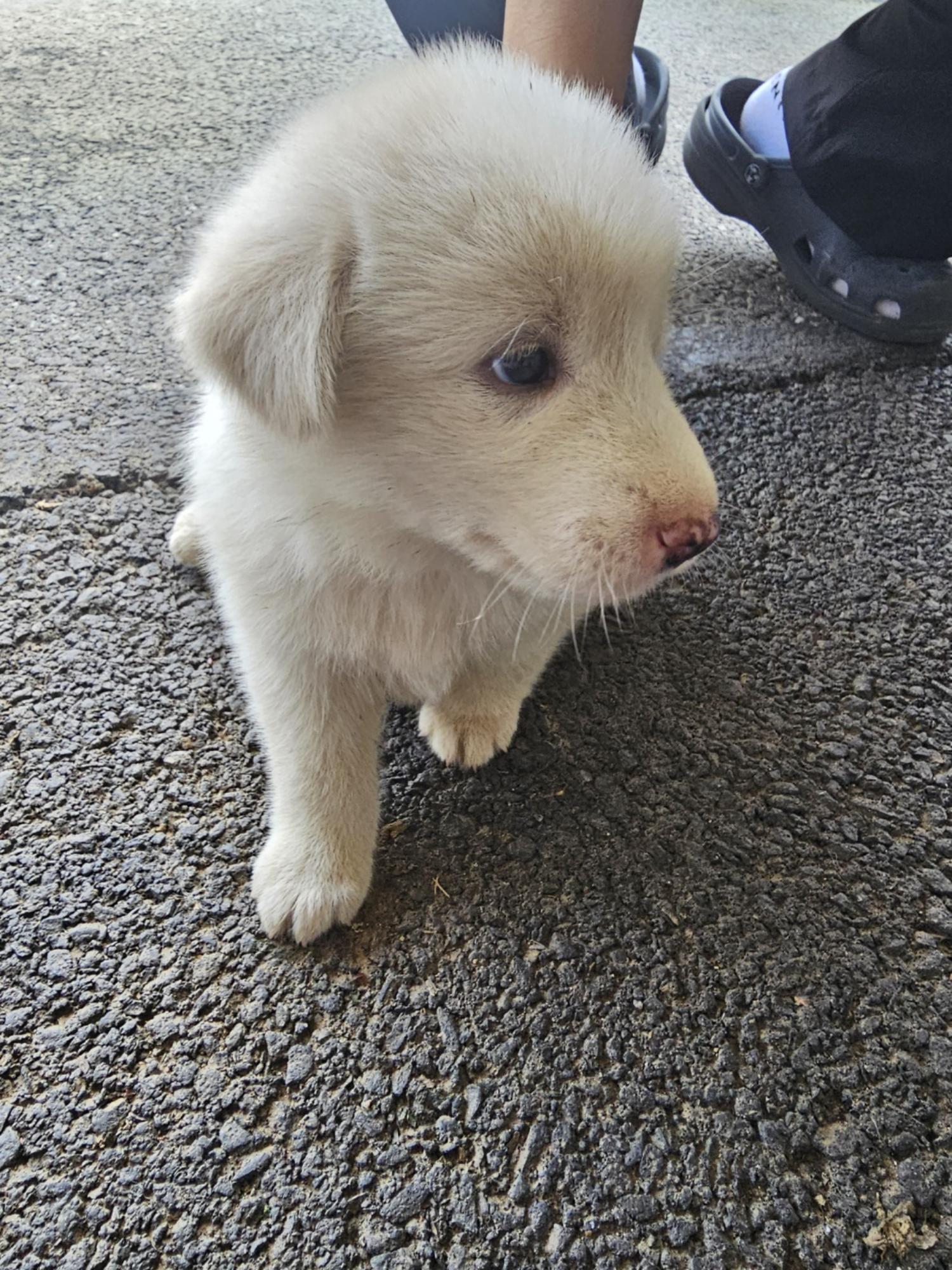 군위종합동물병원_427514202400404