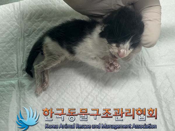종료(자연사) 한국…