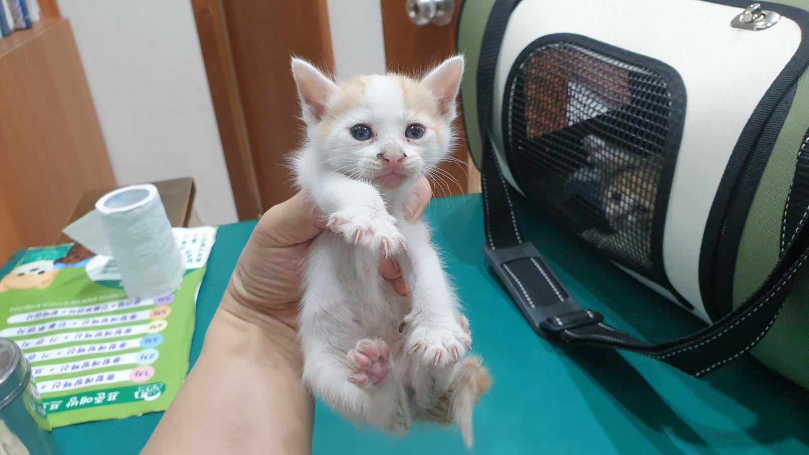 동부동물병원_445464202402272