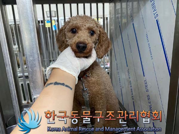 한국동물구조관리협회_411315202400386