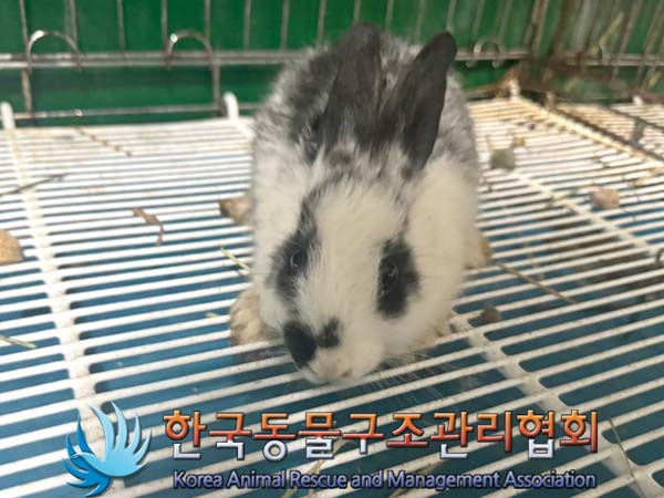 한국동물구조관리협회_411315202400392