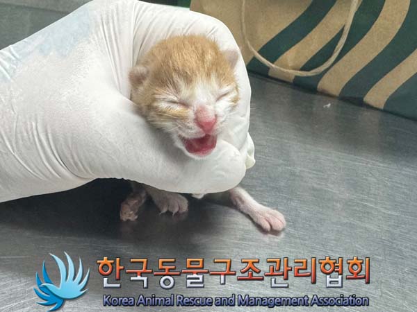 종료(자연사) 한국…