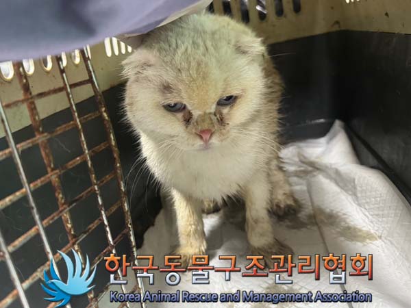 한국동물구조관리협회_441382202400616