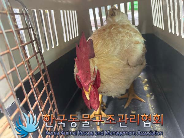 한국동물구조관리협회_411317202400242