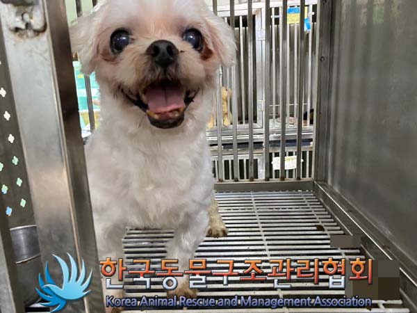 한국동물구조관리협회_411316202400390