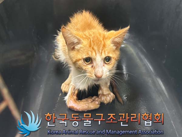 종료(자연사) 한국…