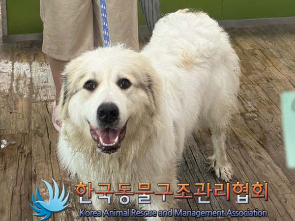 한국동물구조관리협회_411318202400259