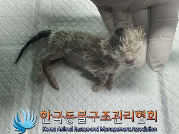 종료(자연사) 한국…