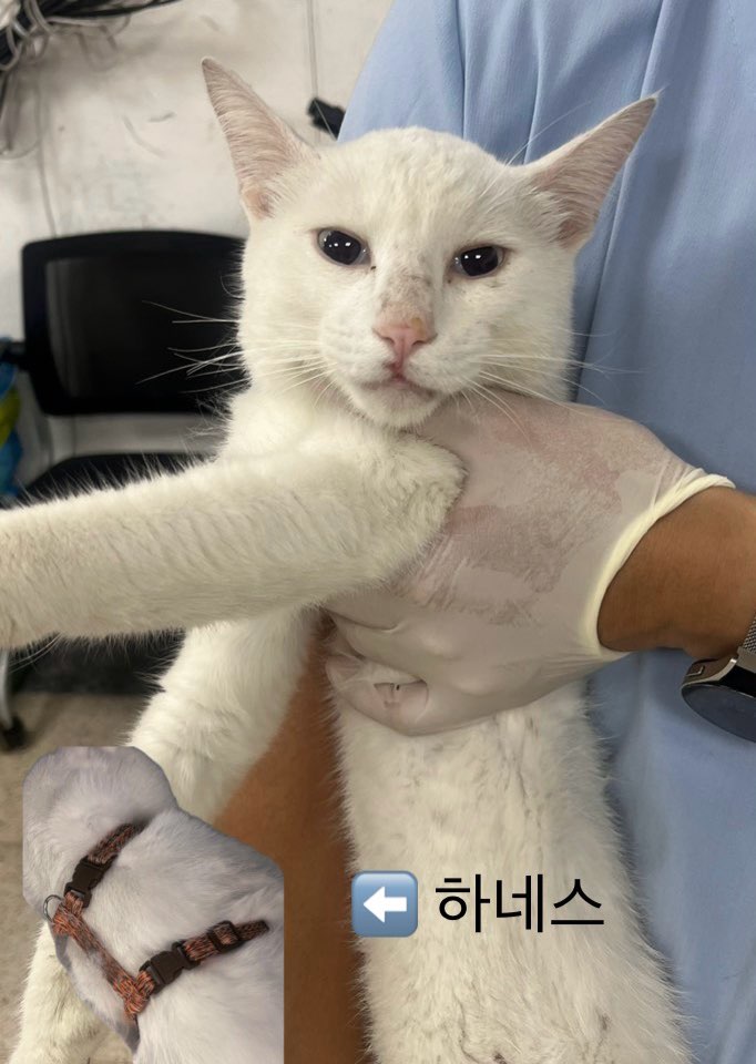 반려동물보호센터_443571202401874