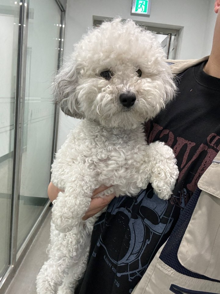 천안시 동물보호센터_444449202401478