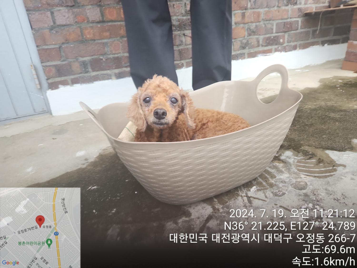 대전동물보호센터_430368202400323