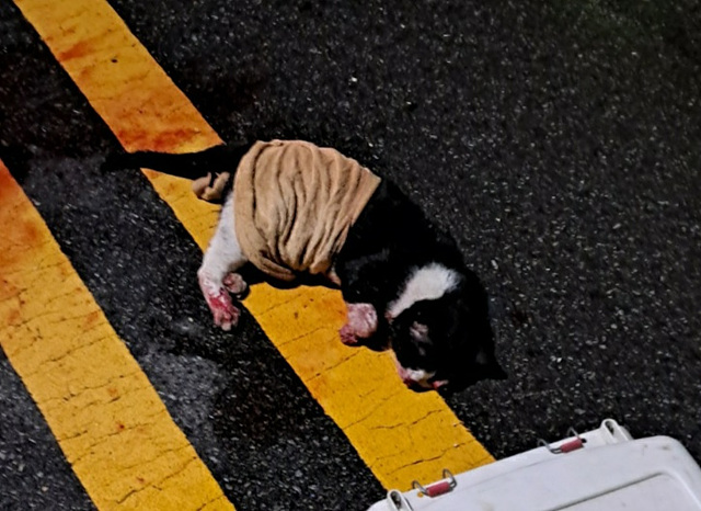 종료(자연사) 한국…
