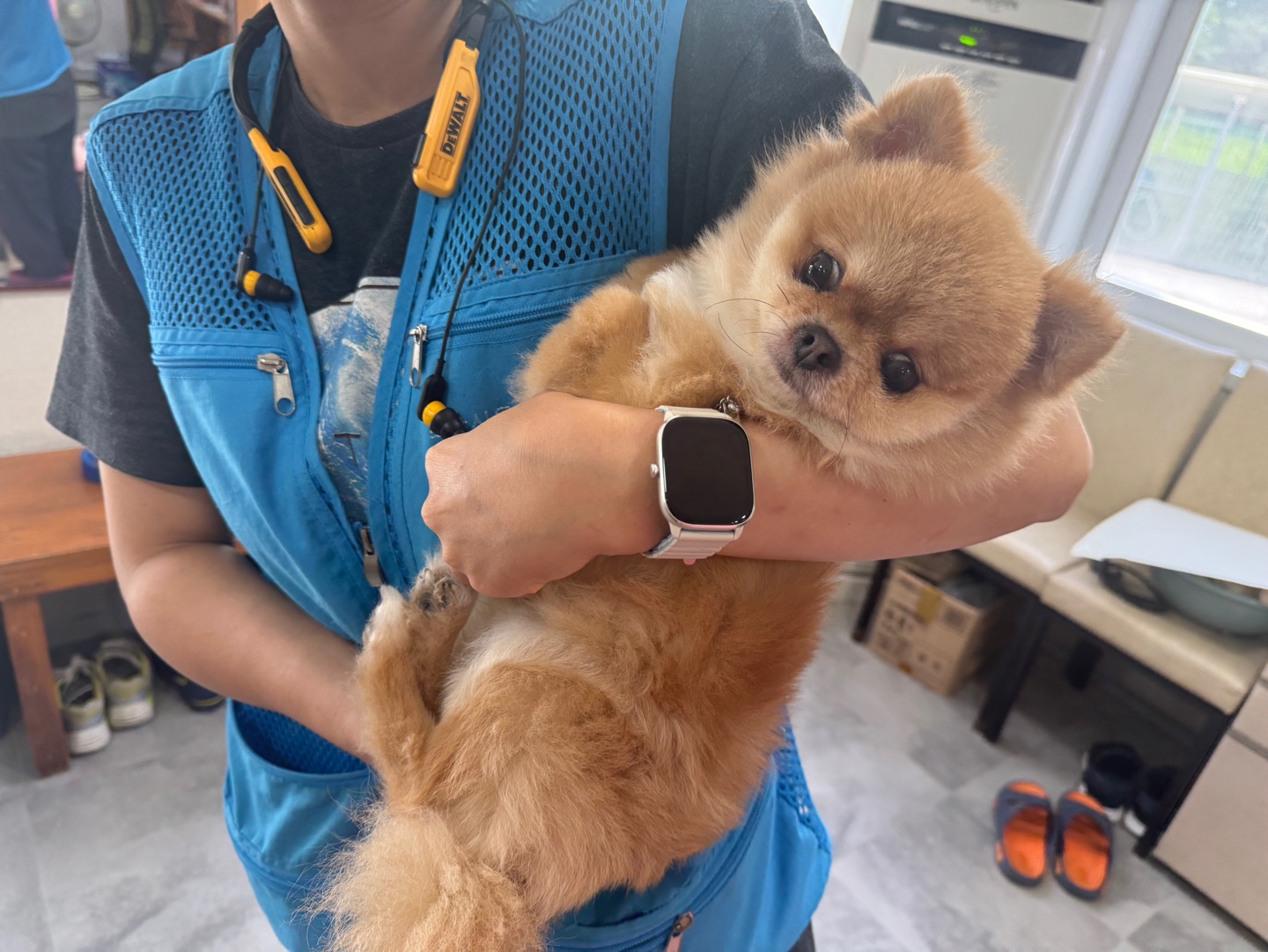 (사)영일동물플러스_447502202401080