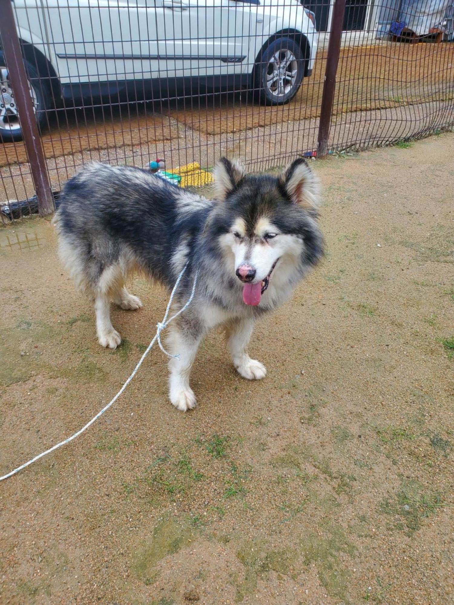 한국야생동물보호협회_441390202400567
