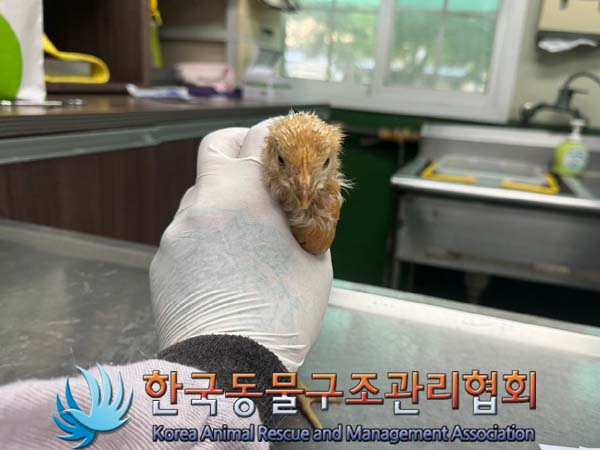 한국동물구조관리협회_411316202400395