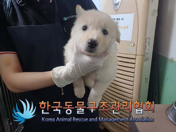한국동물구조관리협회_441414202400575