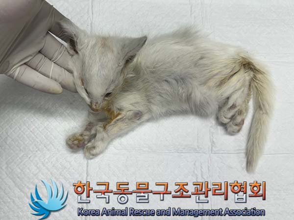 종료(자연사) 한국…