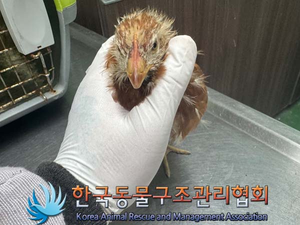 한국동물구조관리협회_411316202400394