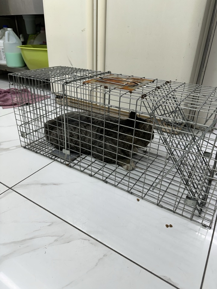 신공항동물병원_428349202400659