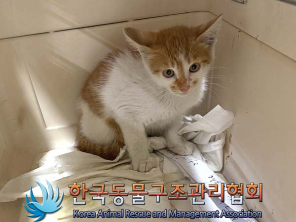 한국동물구조관리협회_411309202400237