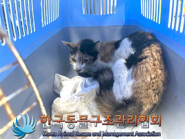 한국동물구조관리협회_411323202400812